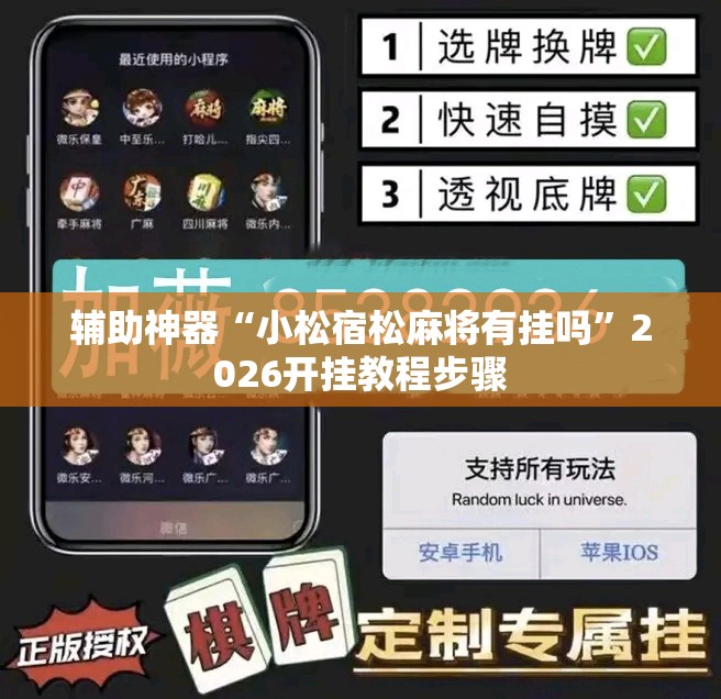 辅助神器“小松宿松麻将有挂吗”2026开挂教程步骤