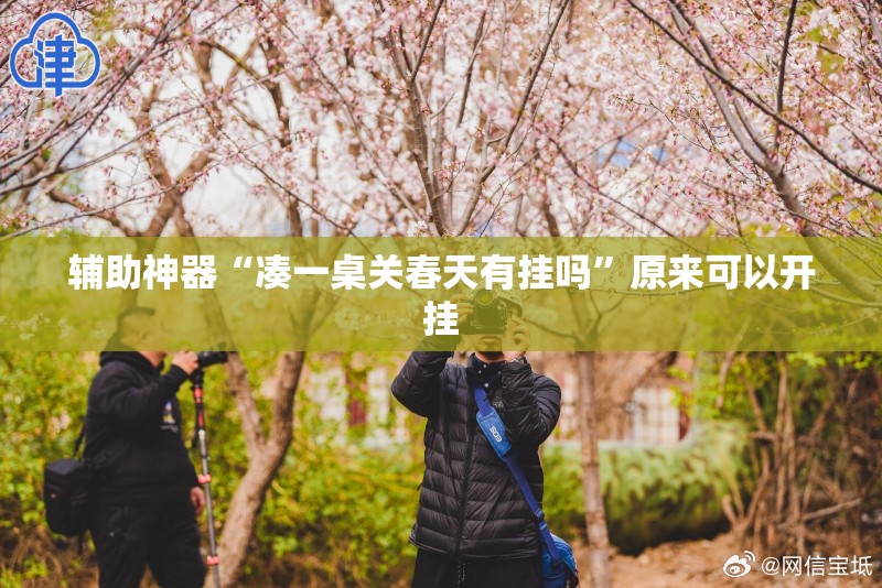 辅助神器“凑一桌关春天有挂吗”原来可以开挂