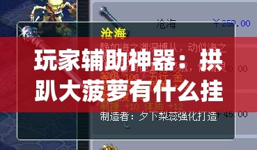 玩家辅助神器：拱趴大菠萝有什么挂吗,是不是真的(透视)”开挂辅助脚本+详细开挂安装教程