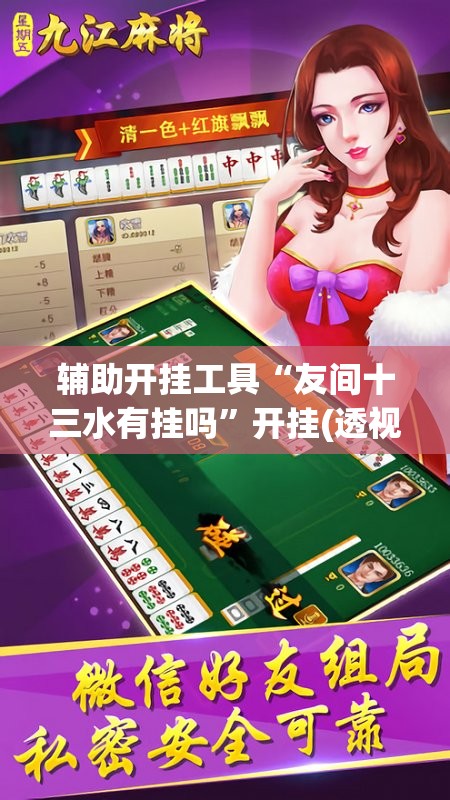 辅助开挂工具“友间十三水有挂吗”开挂(透视)辅助神器
