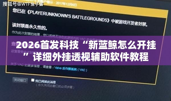 2026首发科技“新蓝鲸怎么开挂”详细外挂透视辅助软件教程