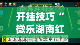 开挂技巧“微乐湖南红中麻将免费开挂”开挂(透视)最新辅助详细