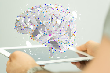 分数与除法的关系的手抄报 关于分数的手抄报