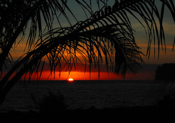 《卖火柴的小女孩》讲了一个什么故事？