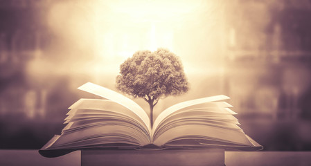 秋季中药养生汤