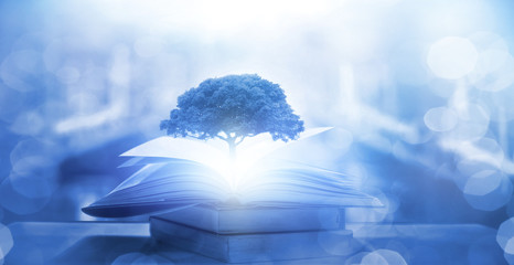 劳斯莱斯经典款古董车老爷车