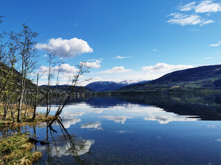 《卖火柴的小女孩》讲了一个什么故事？