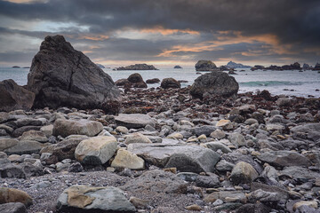 秋季中药养生汤