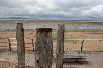 七下科学作业本a题目