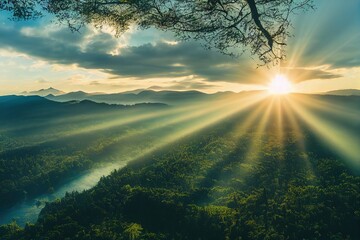 分数与除法的关系的手抄报 关于分数的手抄报