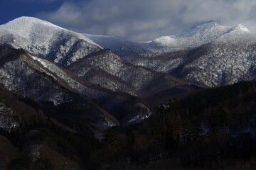 七下科学作业本a题目