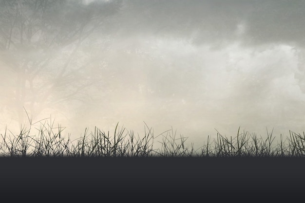 分数与除法的关系的手抄报 关于分数的手抄报