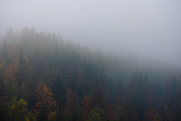 劳斯莱斯经典款古董车老爷车