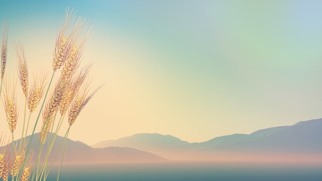 浅谈几种常见的数学思想方法