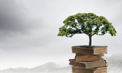 劳斯莱斯经典款古董车老爷车