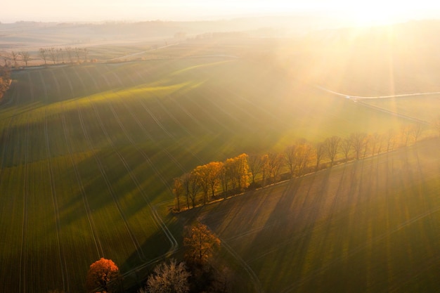 虚拟旅游的分析